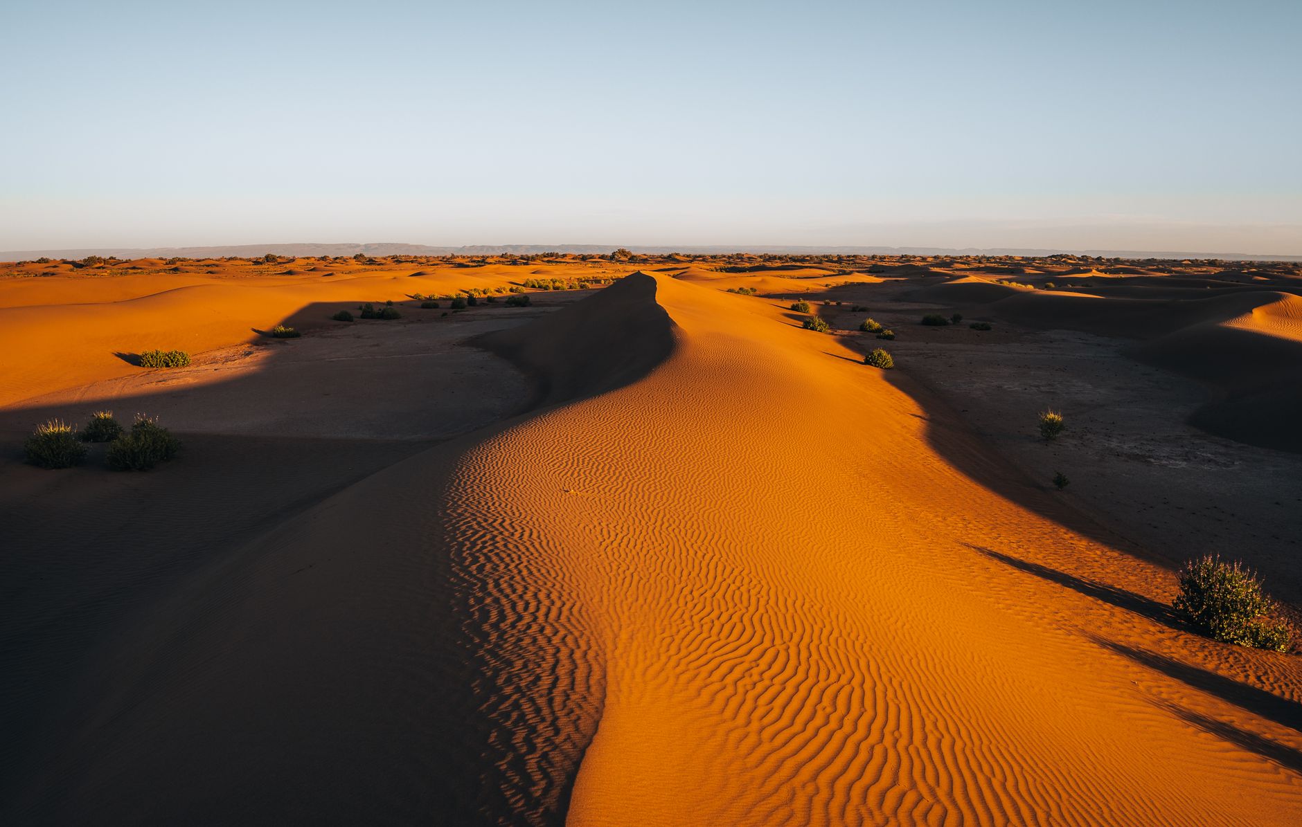 Sunset over golden desert dunes